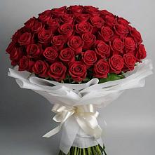 Букет 101 Красная роза Блэк Мэджик в Княгинино