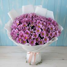 Букет цветов из:  Хризантемы #REPLACE_PRED# Княгинино