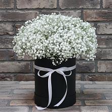 Цветочная композиция из Гипсофила в шляпной коробке #REPLACE_PRED# Княгинино