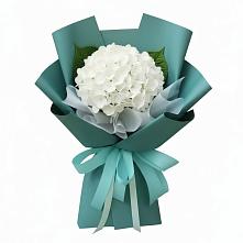 Букет цветов из:  Гортензия #REPLACE_PRED# Княгинино